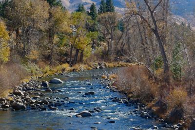Our Beautiful Truckee River