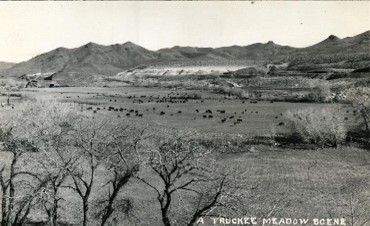 A Scene of the Early Truckee Meadows
